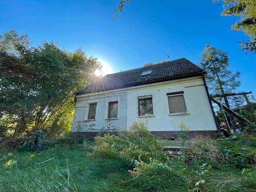 Foto - 3 Zimmer Einfamilienhaus zum Kaufen in Gartz (Oder)