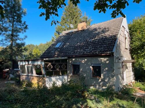 Foto - 3 Zimmer Einfamilienhaus in Gartz (Oder)