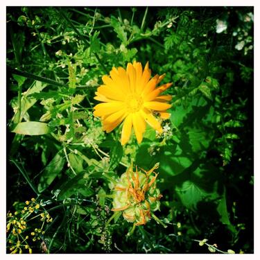 Foto - Einfamilienhaus - 369.000,00&nbsp;EUR Kaufpreis, ca.&nbsp; 150,00&nbsp;m&sup2;