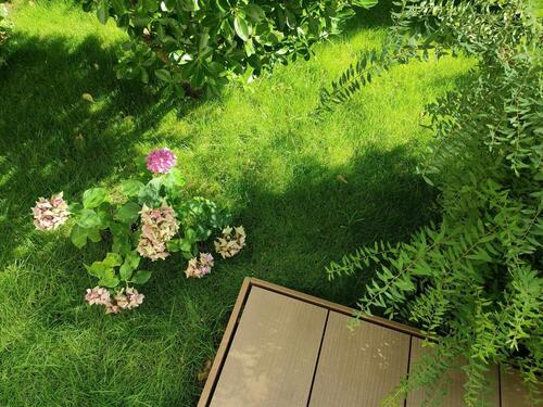 Foto - Wohnung mit kleinem Garten (Untermiete)