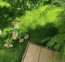 Wohnung mit kleinem Garten (Untermiete) - Frankfurt am Main Nord-West