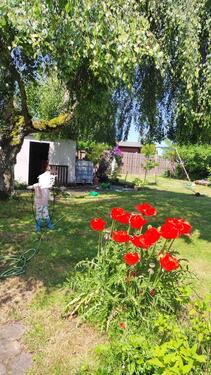 Foto - Einfamilienhaus-Zweifamilienhaus auf der Lohe
