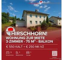 Hirschhorn! Sonnige 3-Zimmer-Wohnung mit Balkon - Wurmannsquick