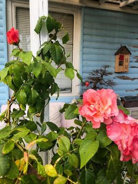 Foto - Grundstück in Oranienburg