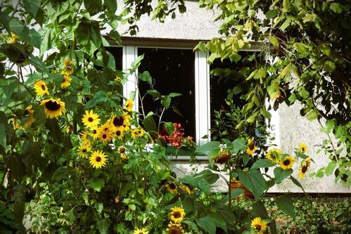 Foto - TaunusPerle: Wunderschöne, barrierefr. 2,5-Zi.-EG-Terrassenwhg.