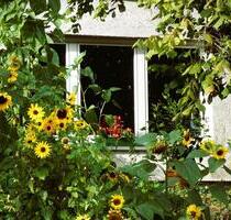 TaunusPerle: Wunderschöne, barrierefr. 2,5-Zi.-EG-Terrassenwhg. - Niedernhausen