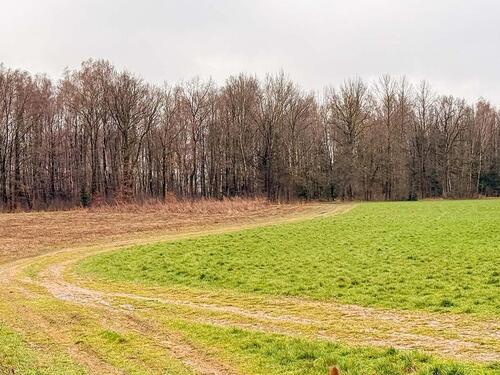 Foto - AUKTION: 0,4 ha Landwirtschafts- und Verkehrsfläche