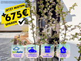 Foto - * JETZT MIETEN * NEUBAU * Energie A+ * 2 Zimmer * Küche * Barrierefrei * Lift * 042026 *