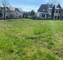 WieseGrünland - 30,00 EUR Kaltmiete, ca.  0,00 m² in Dahlem (PLZ: 53949)