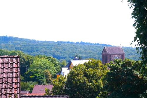 Foto - TaunusParadies: Traumhafte 3,5 Zi.- DG-Whg. im Grünen