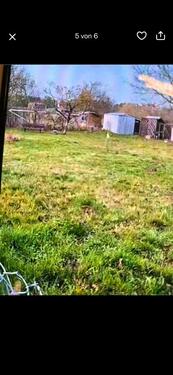 Foto - Grundst&uuml;ck zur Miete in Berlin