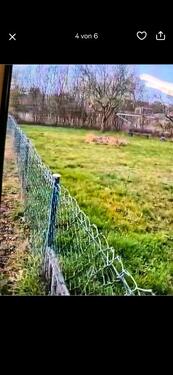 Foto - Grundst&uuml;ck in Berlin