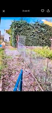 Foto - Grundst&uuml;ck in Berlin zur Miete