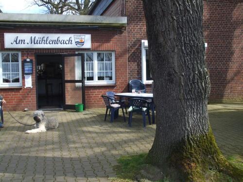 Foto - Schankwirtschaft in guter Lage - 750,00 EUR Kaltmiete,