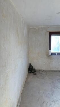 Foto - Aktuell in Renovierung - 62m2 3-Zimmer zu vermieten