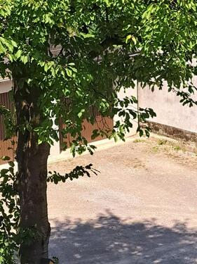 Foto - 2.5 Zimmer Etagenwohnung zum Kaufen in Gelsenkirchen