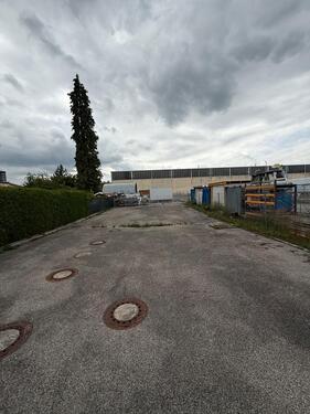 Foto - andere in Kissing