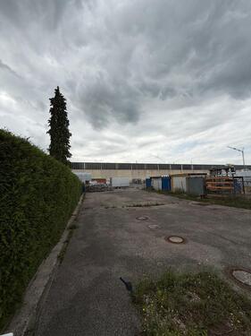 Foto - andere in Kissing zur Miete