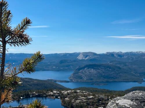Foto - andere in Schleswig