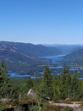Foto - andere in Schleswig zur Miete
