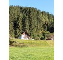 Ferienhaus mit Bergblick in Kärnten mit Wlan ruhige Lage - Zwickau Auerbach