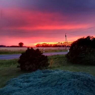 Foto - Großes Grundstück mit Haus und viel Nebengebäude.
