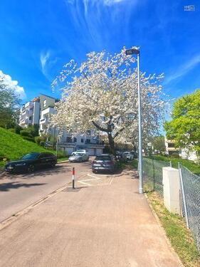 Foto - 'Sonne und Grün: 2 Zimmer-Wohnung mit Balkon'