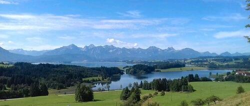 Foto - last minute Urlaub auf dem Bauernhof im Allgäu