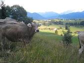 Foto - andere in Halblech zur Miete