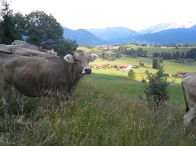 Foto - andere in Halblech zur Miete