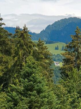 Foto - andere in Laubach