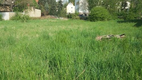 Foto - Grundst&uuml;ck zum Kaufen in Oschatz