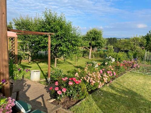 Foto - Gepflegter Kleingarten im 'Finkenhain' Schrebergarten SZ-Bad