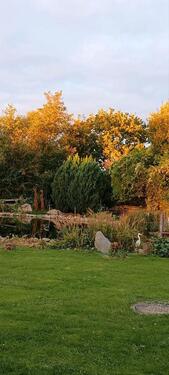 Foto - andere in Rheda-Wiedenbrück