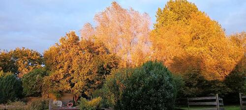 Foto - andere in Rheda-Wiedenbrück zur Miete
