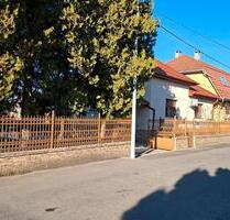 Exklusives Anwesen in Satu Mare Rumänien – 33 Ar Grundstück - Pressath