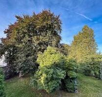 3,5 Raum-Wohnung mit großem Balkon - Oberhausen Biefang