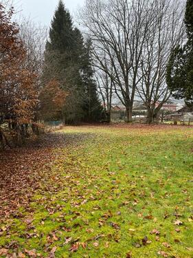 Foto - Einfamilienhaus in Zwiesel