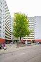 Foto - Etagenwohnung zur Miete in Senden