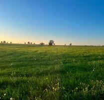 Ruhiges Uni-Nahes Zimmer in 2er WG - Tübingen Schönblick / Winkelwiese