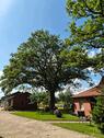 Foto - Bauernhaus, Landhaus in Bruchhausen-Vilsen zum Kaufen