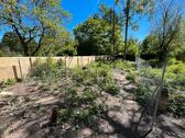 Foto - Garten zentrale Lage zur Miete in Frankfurt Eckenheim