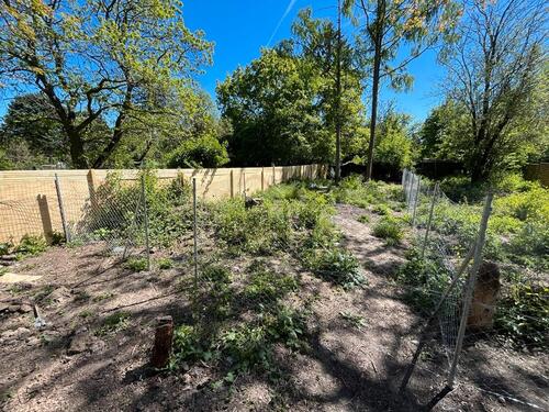 Foto - Garten zentrale Lage zur Miete in Frankfurt Eckenheim