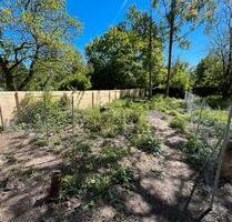 Garten zentrale Lage zur Miete in Frankfurt Eckenheim - Frankfurt am Main Nord-Ost