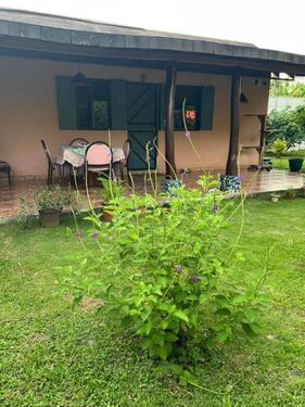 Foto - Einfamilienhaus in Hohentengen am Hochrhein