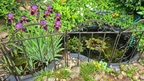 Foto - Doppelhaushälfte in Calw zur Miete