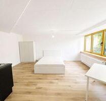 Möbliertes 1-Zimmer-Apartment in guter Lage - Mannheim Almenhof