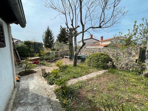 Foto - andere in Haar