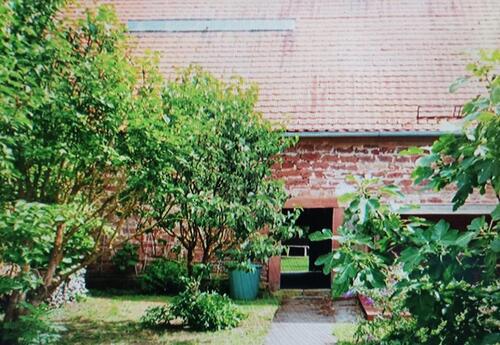 Foto - Einfamilienhaus zum Kaufen in Römerberg
