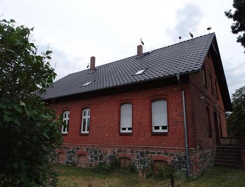 Foto - Geräumige Wohnung (170 m²) mit großem Garten in Stülpe